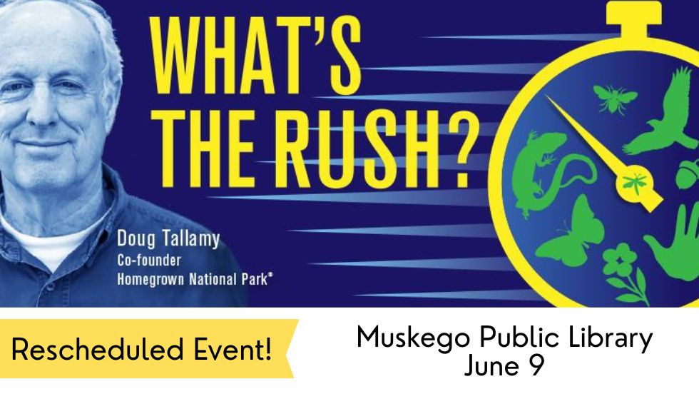 "What's the Rush?" Video Screening & Discussion