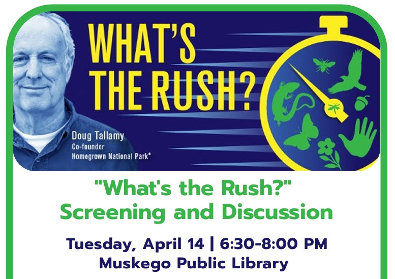 "What's the Rush?" Video Screening & Discussion