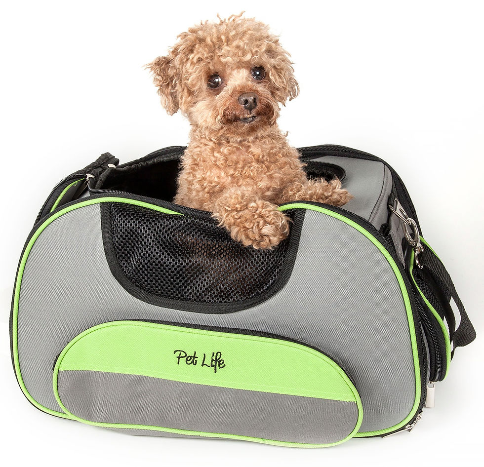 Thumbnail: Pet Life 'Sky Max' Airline Approved Sky-Max Collapsible Travel Pet Carrier