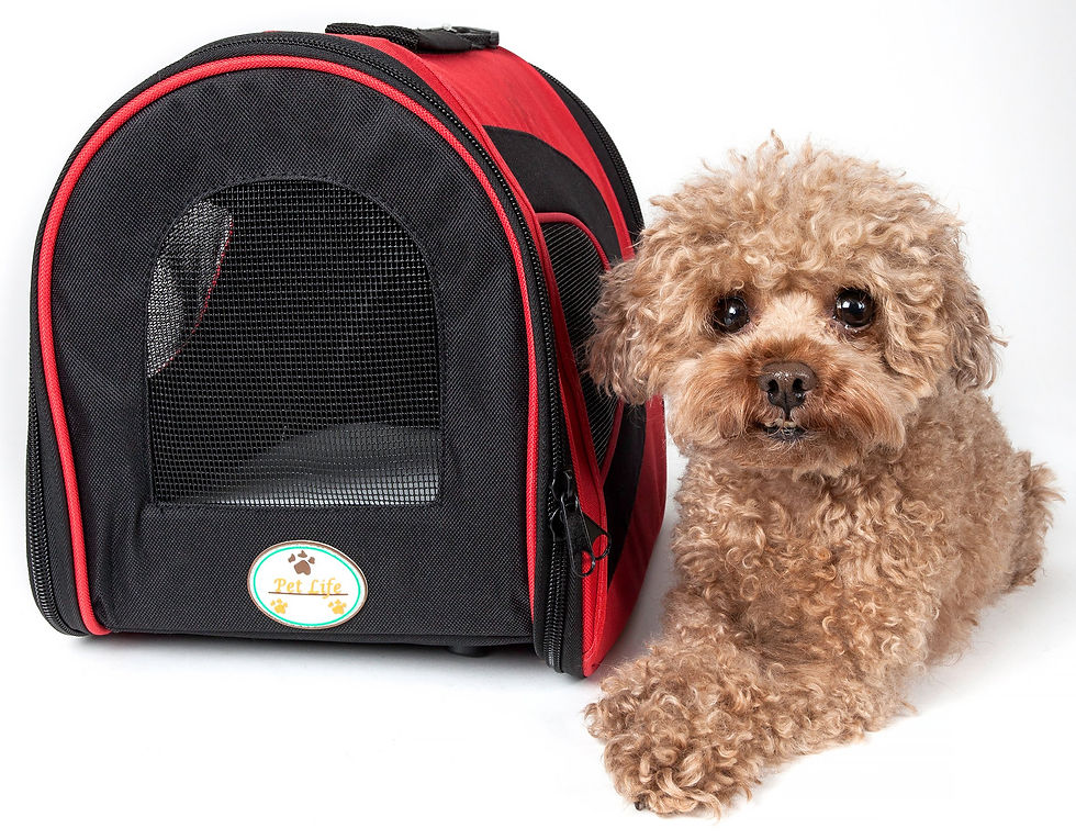 Thumbnail: Pet Life ® Folding Zippered SPORTY MESH CARRIER