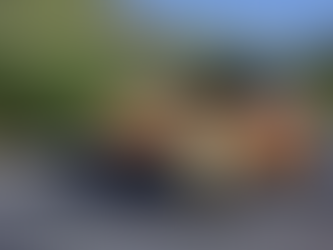 OG OTOMOTİV ÖZEL HABER: 2026 ÖTV Muafiyeti Kapsamı Genişliyor mu? Engelli ve 20 Yaş Üstü Araç Sahiplerini Bekleyen Fırsatlar!