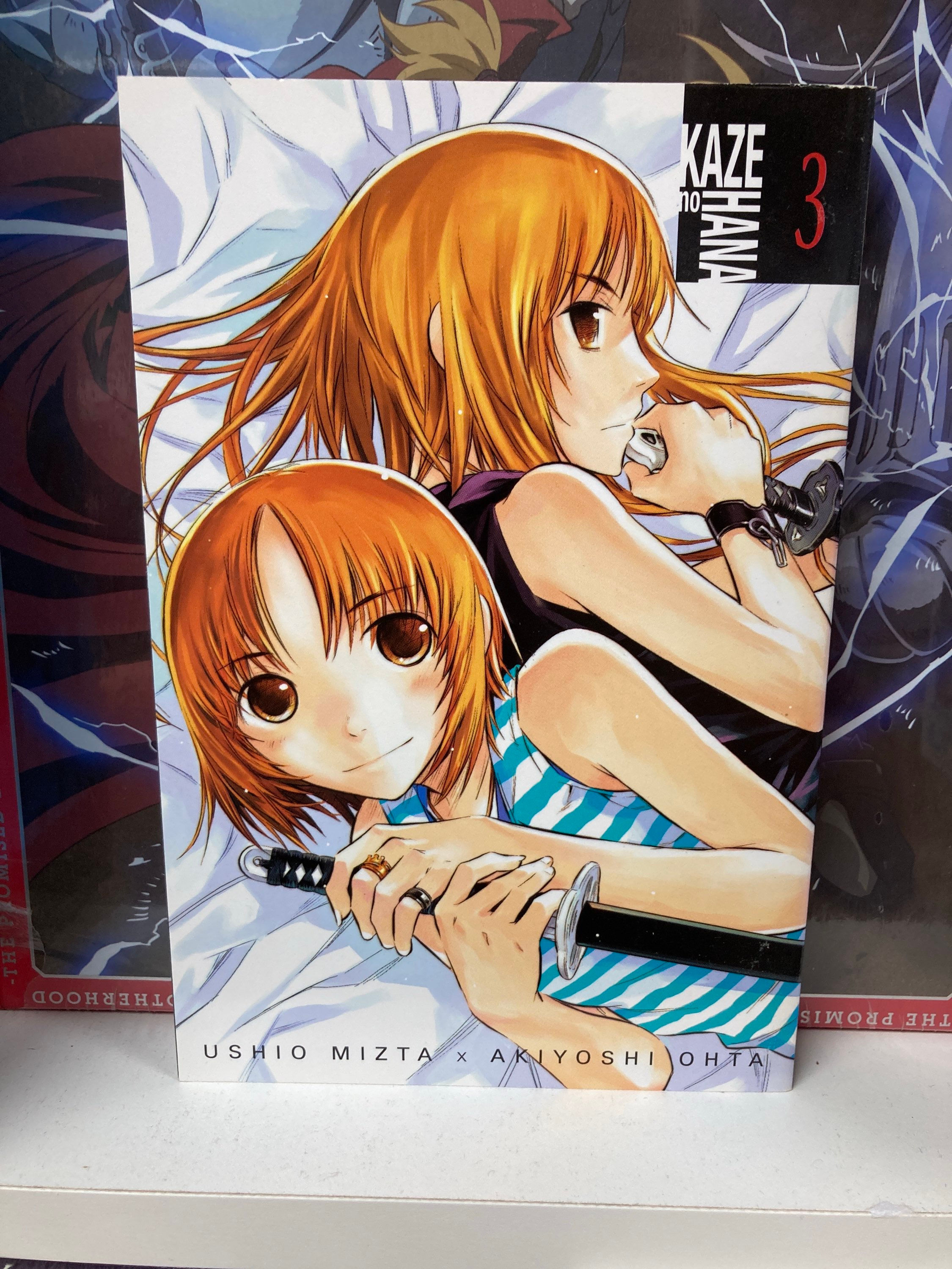 Kaze No Hana, Vol. 3 Manga  by Akiyoshi Ohta (Author), Ushio Mizta (Artist)