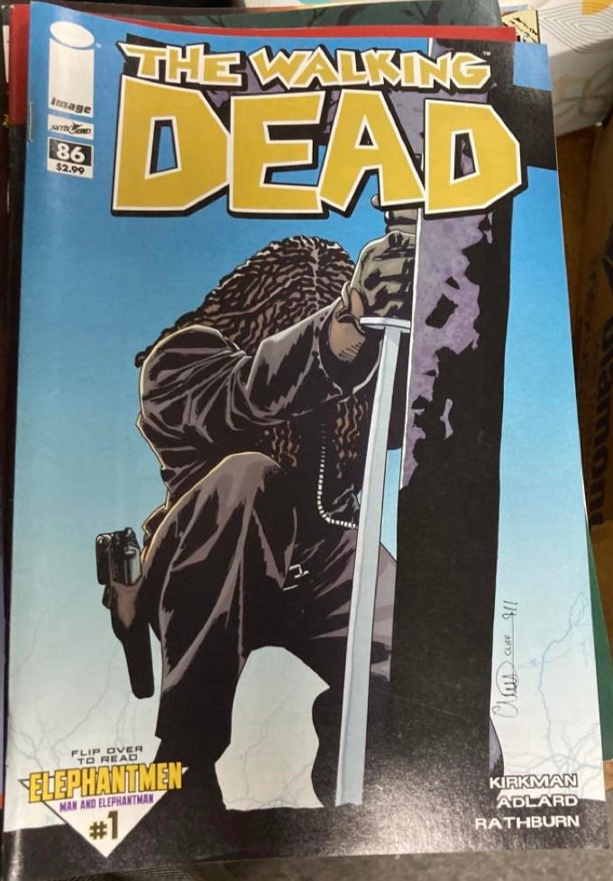 The Walking Dead #86