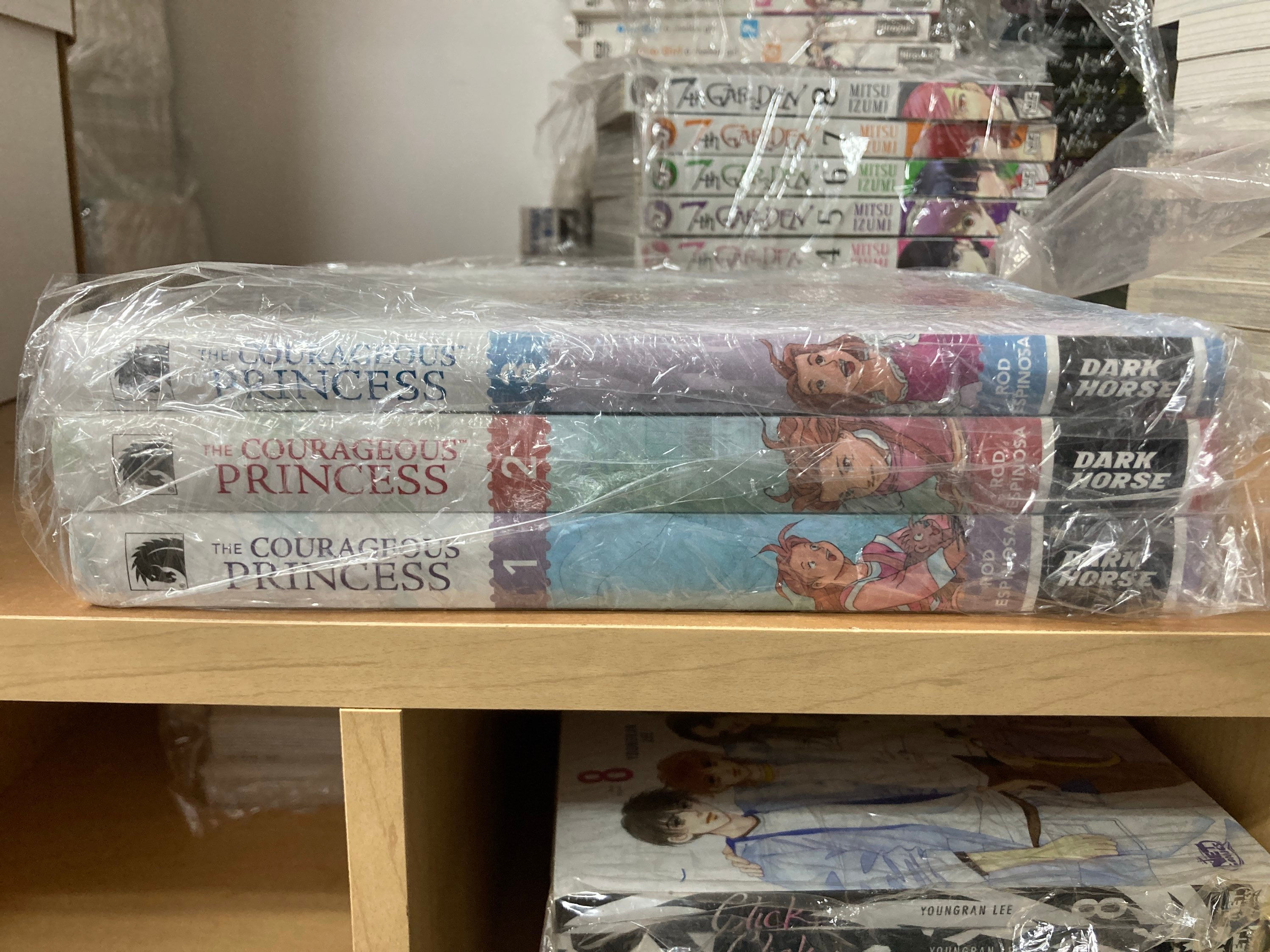 The Courageous Princess GN Vol.1-3