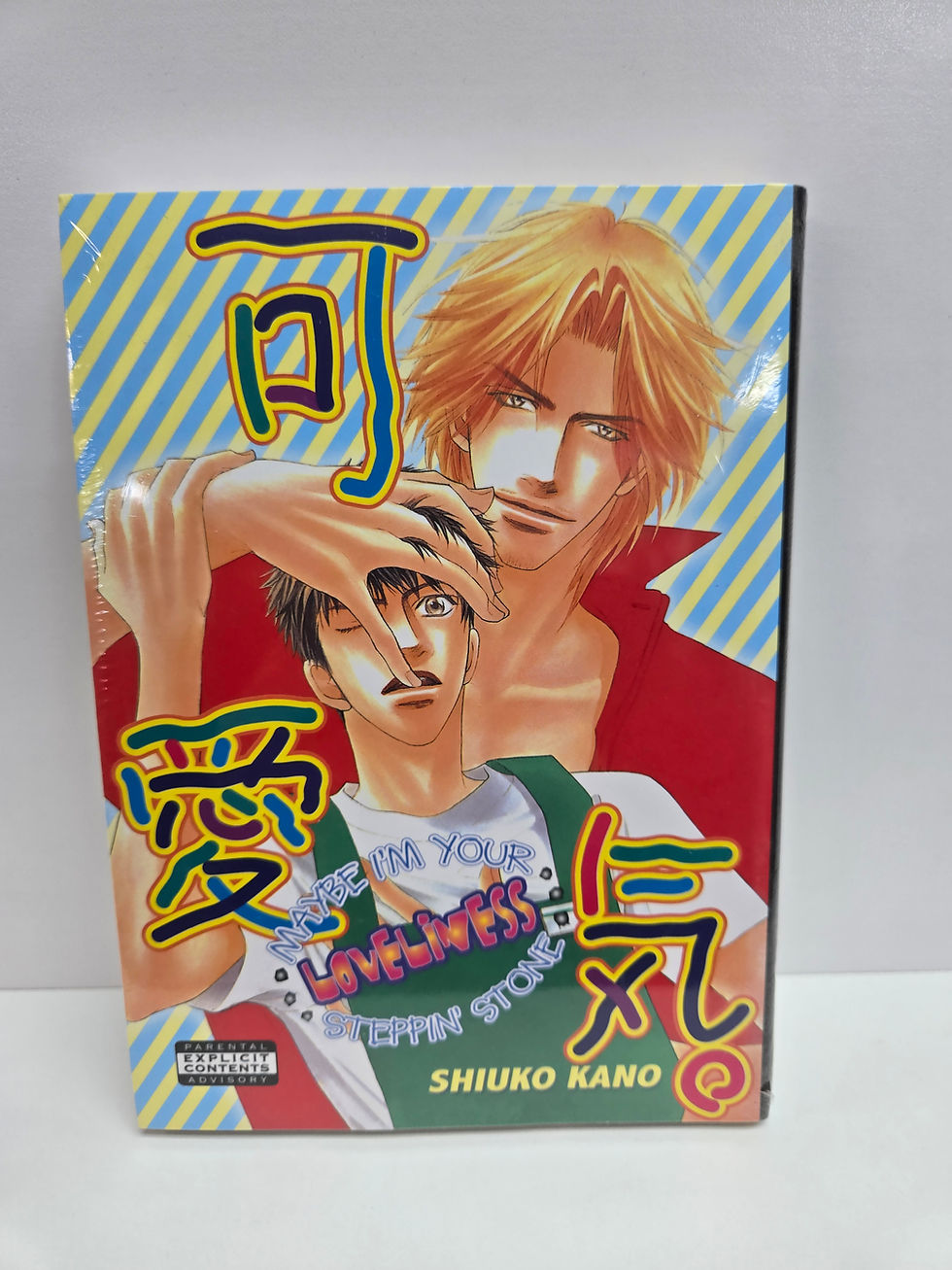 Thumbnail: Maybe I'm Your Steppin' Stone (Yaoi) Paperback – March 11, 2008 by Shiuko Kano