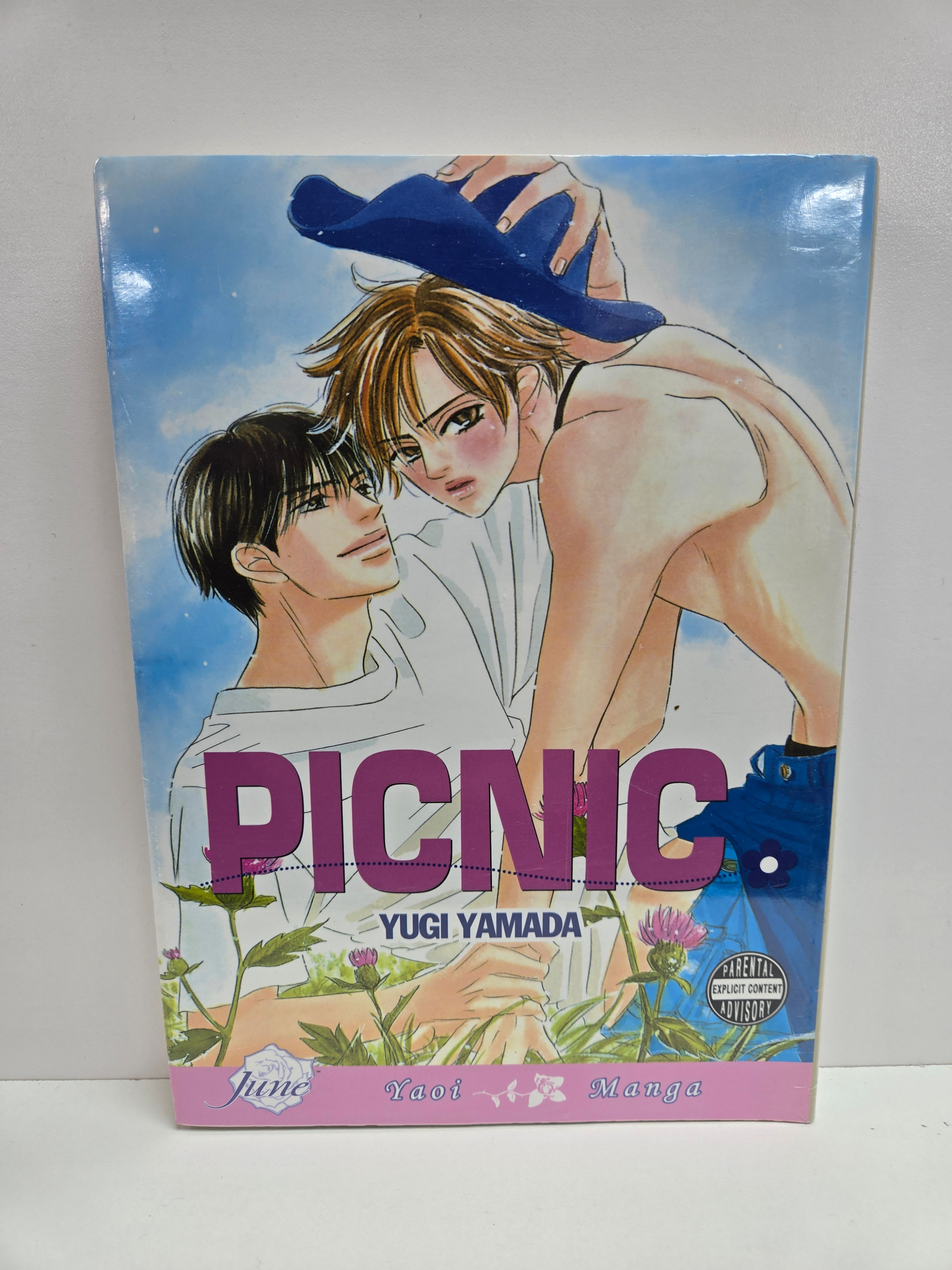 Picnic (Yaoi) Paperback – July 10, 2007 by Yugi Yamada (Author, Artist)
