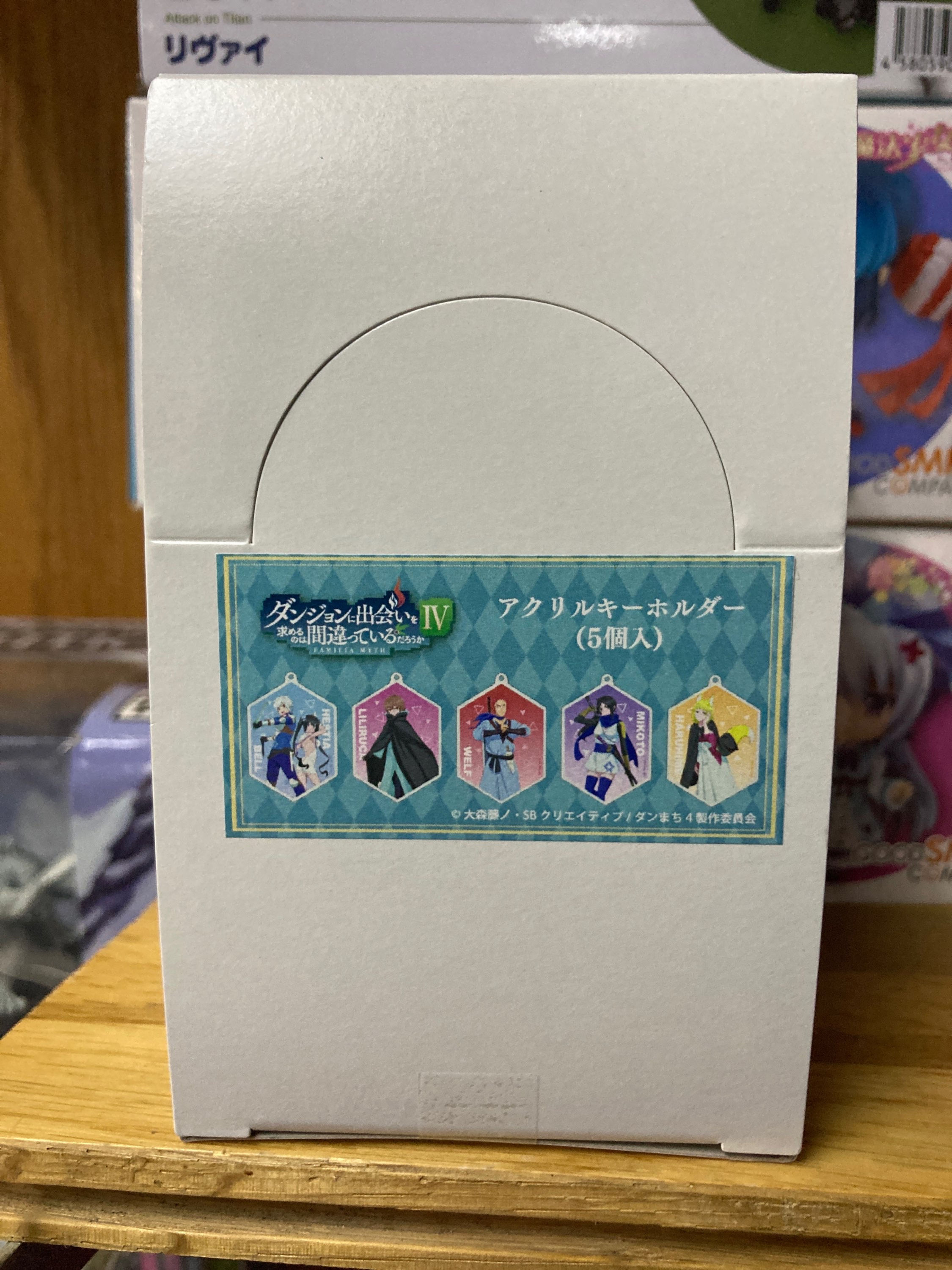 Is It Wrong to Pick Up Girls in a Dungeon? IV Official Illustration keychains