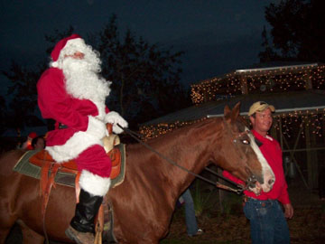 Cowboy Christmas