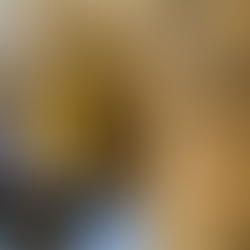 Ajloun Palace Jordan