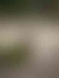 Komodo Island Bali Indonesia