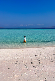 Komodo Island Bali Indonesia