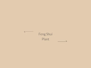 Feng Shui Plant ☯