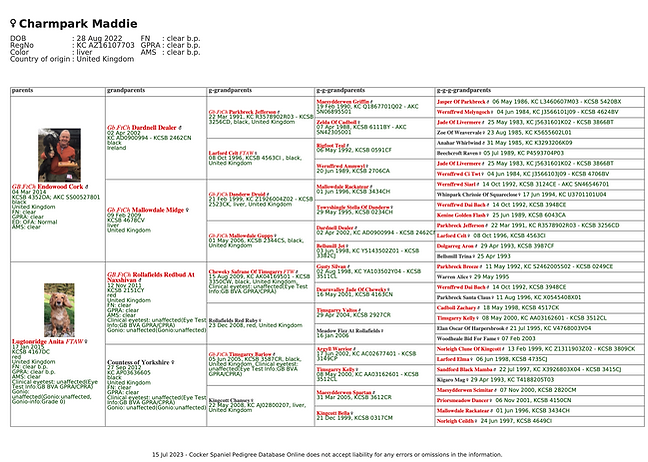 Cocoa pedigree.png