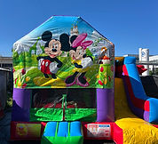 Chateau Mickey & Minnie.JPG