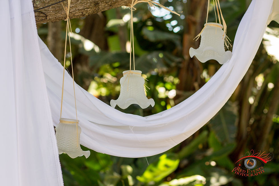 A Garden wedding 