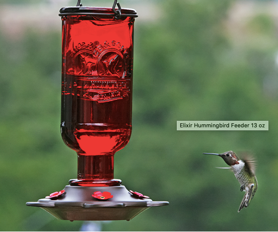 Elixir Hummingbird Feeder