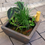 Thumbnail: Aquatic Patio Pond Kit