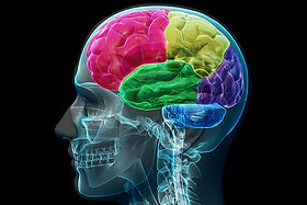 NeurocognitiveTesting.jpeg