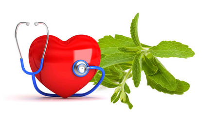 Effect of steviol glycosides on cardio-vascular systems