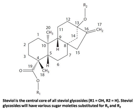 Absorption and distribution of steviol glycosides in animal and human models