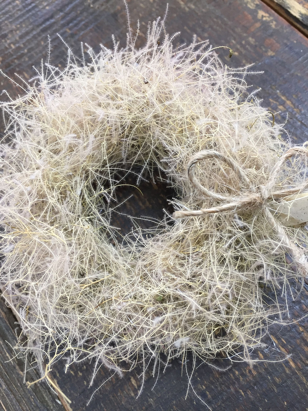 スモークツリーリース