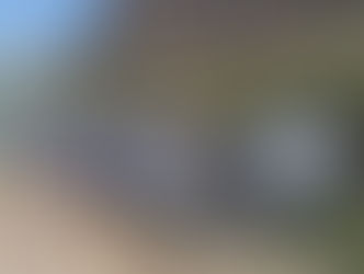 Summer Time Means River Time! We offer Day Trips to lakes and rivers throughout Arizona.