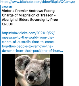 Screenshot 2021-11-11 at 12.54.20.png