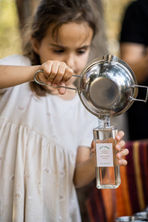 סדנת רוקחות טבעית