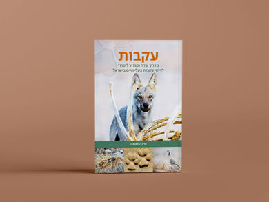 עיצוב ועימוד ספרים, עיצוב אתרים