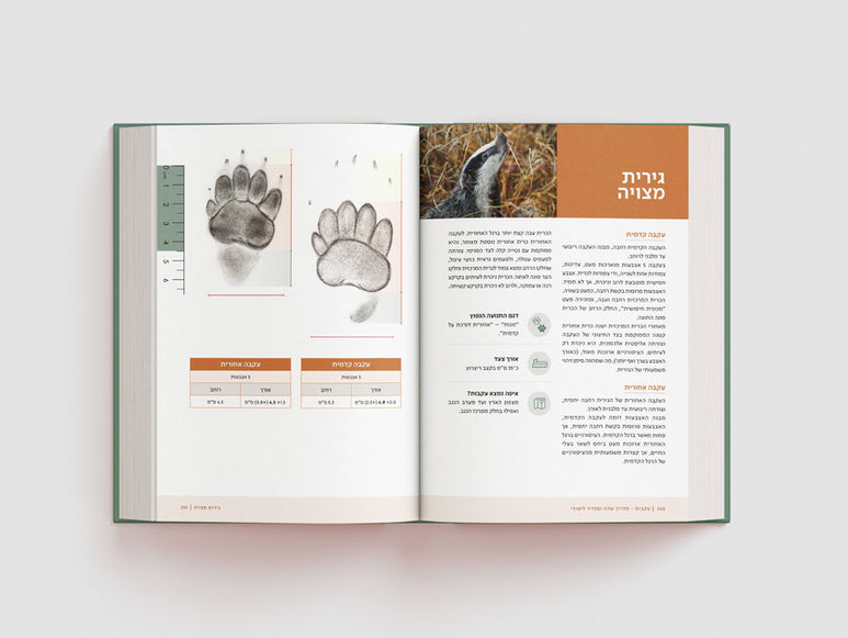 עיצוב ועימוד ספרים, עיצוב אתרים