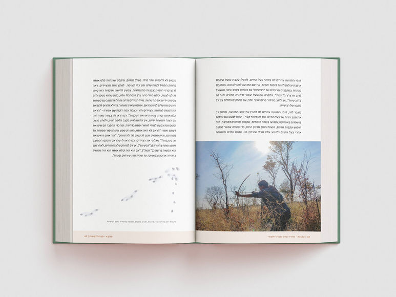 עיצוב ועימוד ספרים, עיצוב אתרים