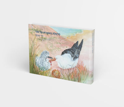 עיצוב ועימוד ספרים