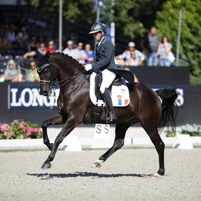 PAMFOU DRESSAGE Corentin