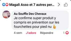 AU SOUFFLE DES CHEVAUX