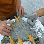 20201124_092604.jpg