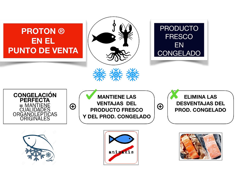 DOSSIER_CONGELACIÓN_EN_EL_PUNTO_DE_VENTA