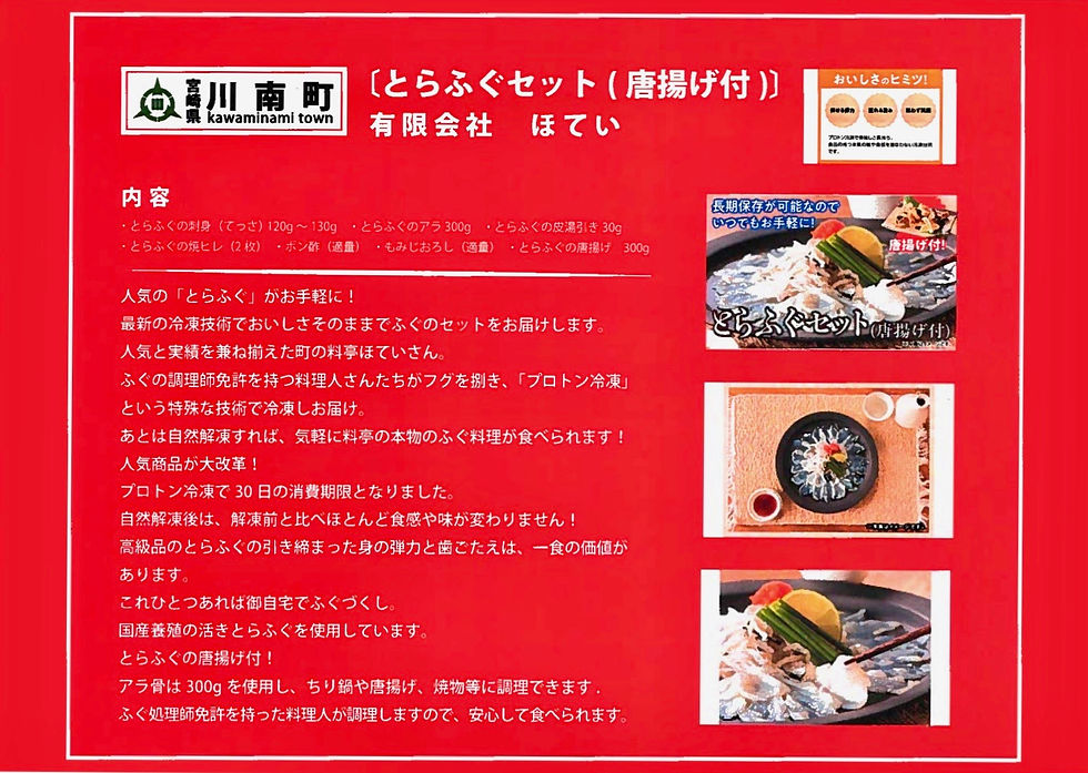 CLIENTES PROTON EN JAPON