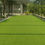 Thumbnail: 15mm multisport grass