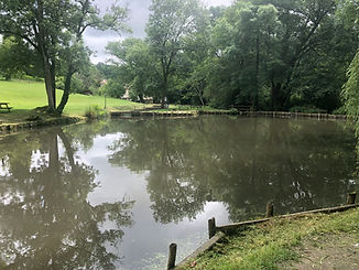 IMG_5136.JPG