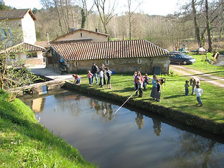 IMG_2699.JPG
