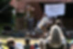 Stills-Playback Fest-35.jpg