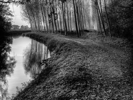 La curva dei riflessi