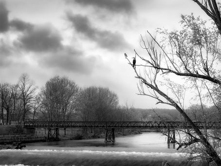 Il ponte e l’attesa