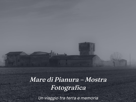 Mare di Pianura – La Mostra