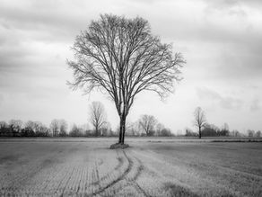 Nel mezzo del cammino