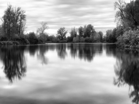 Dove l'acqua tace