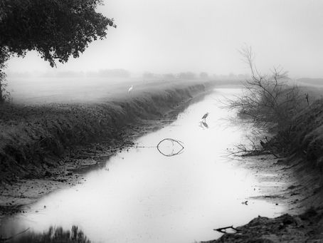 Dove nasce il silenzio