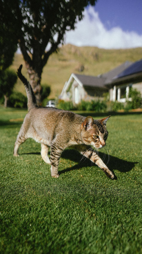 IMG_20250103_221059_428