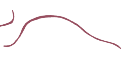 Latest Version (2)_edited.png