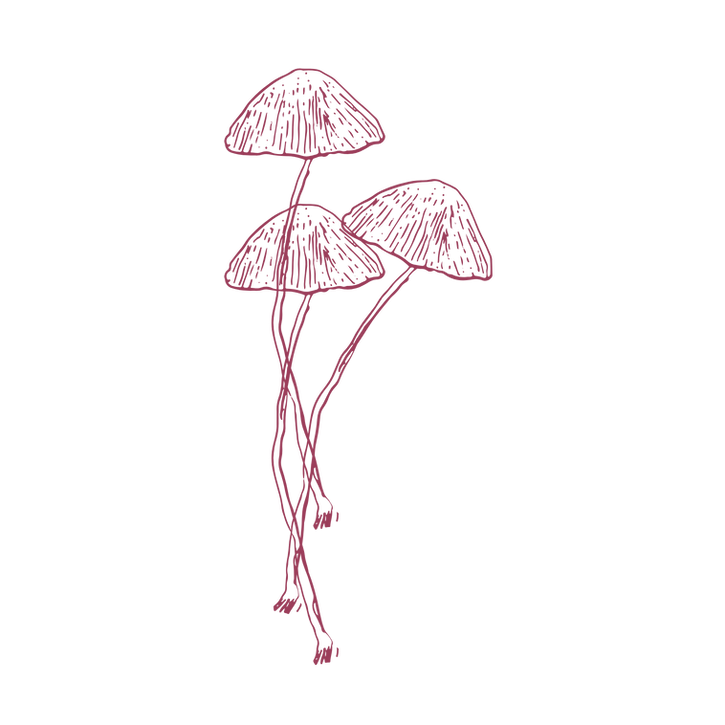 10.png